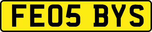 FE05BYS