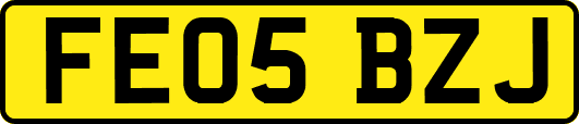 FE05BZJ