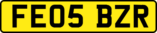 FE05BZR