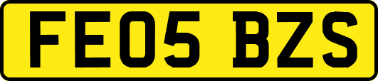 FE05BZS