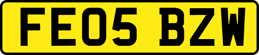 FE05BZW