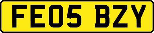 FE05BZY