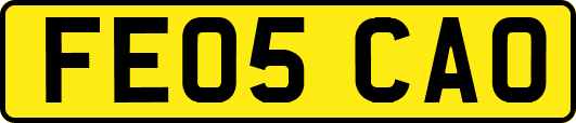 FE05CAO