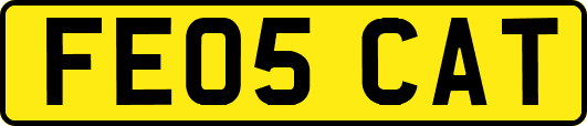 FE05CAT