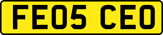 FE05CEO