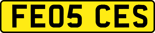 FE05CES