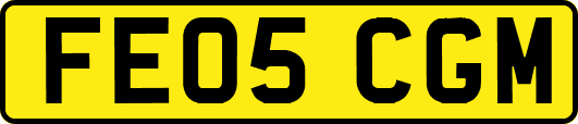FE05CGM
