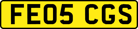 FE05CGS