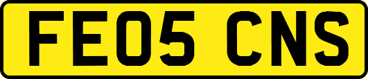 FE05CNS