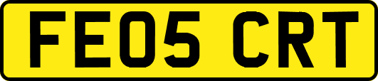 FE05CRT