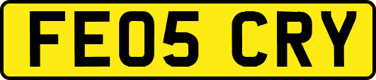 FE05CRY