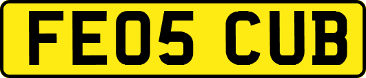 FE05CUB