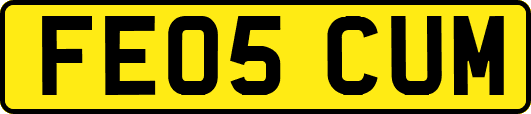FE05CUM