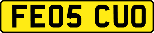 FE05CUO