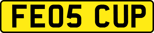 FE05CUP