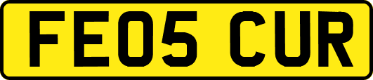 FE05CUR