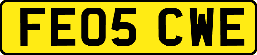 FE05CWE