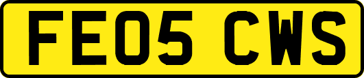 FE05CWS