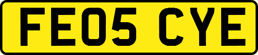 FE05CYE