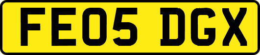 FE05DGX