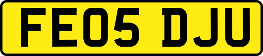 FE05DJU