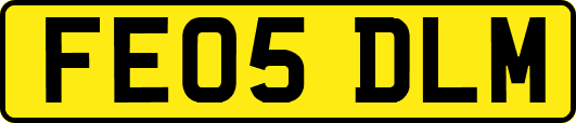 FE05DLM