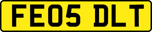 FE05DLT