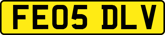FE05DLV