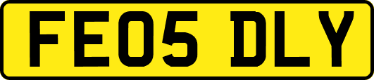 FE05DLY