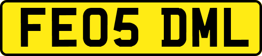 FE05DML