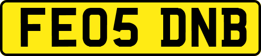 FE05DNB