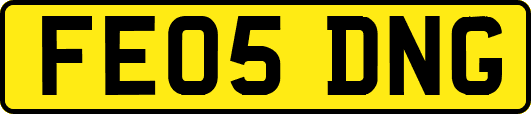 FE05DNG