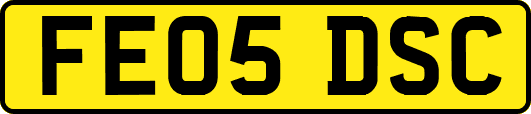FE05DSC