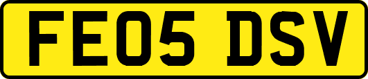 FE05DSV