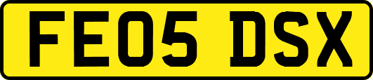 FE05DSX