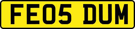 FE05DUM