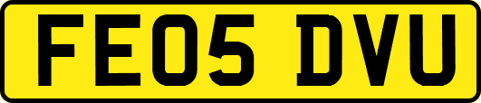 FE05DVU