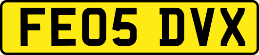 FE05DVX