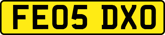 FE05DXO