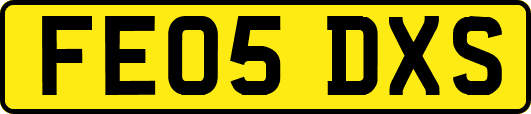 FE05DXS
