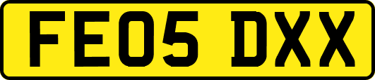 FE05DXX
