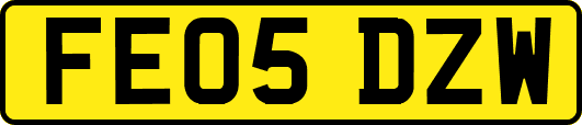 FE05DZW