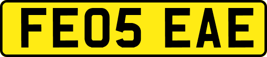 FE05EAE
