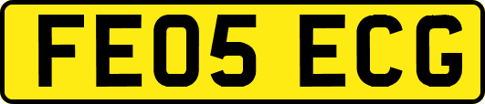 FE05ECG