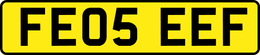 FE05EEF