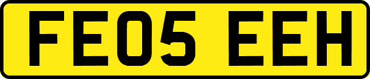 FE05EEH
