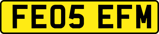 FE05EFM