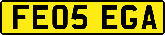 FE05EGA