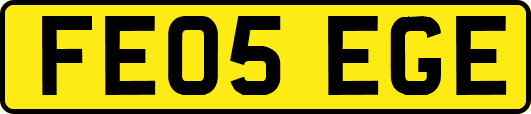 FE05EGE