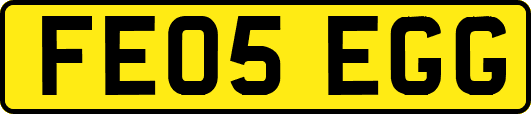 FE05EGG